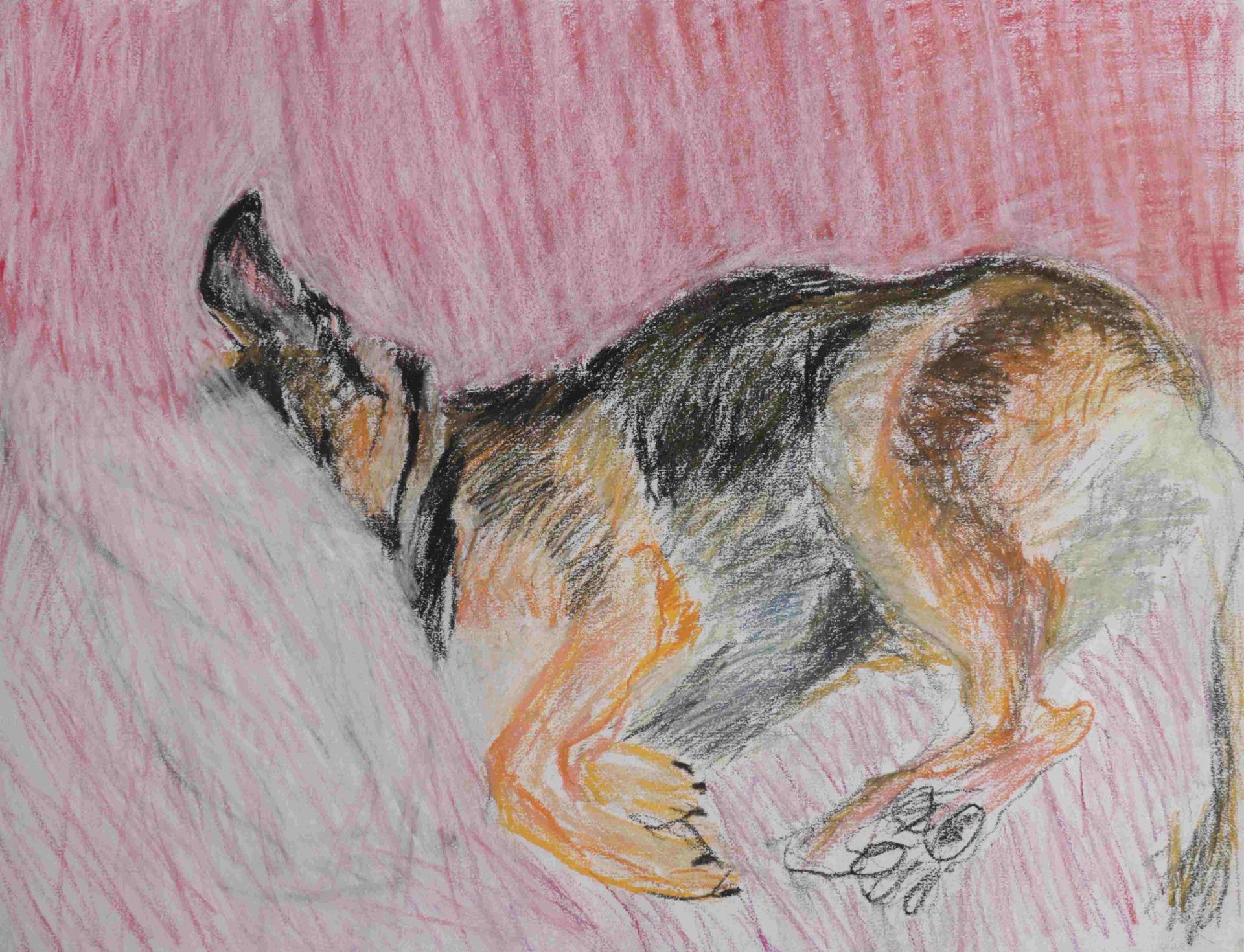 'Tara 2', pastelkrijt